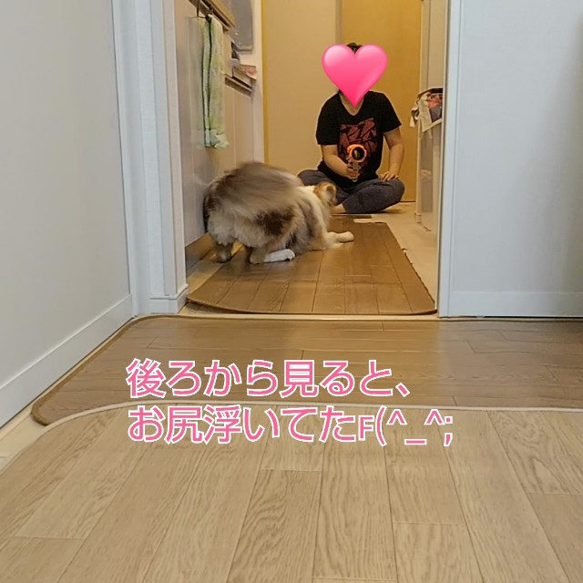 f:id:gussan-belle:20191021162650j:image