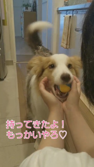 f:id:gussan-belle:20191021162928j:image