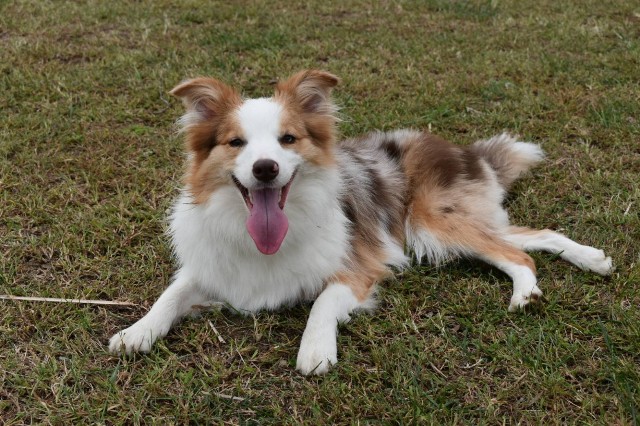 f:id:gussan-belle:20191023232252j:image f:id:gussan-belle:20191023232252j:image