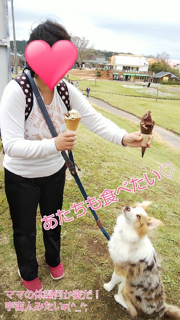 f:id:gussan-belle:20191023232346j:image f:id:gussan-belle:20191023232346j:image