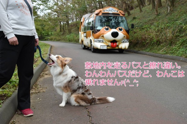 f:id:gussan-belle:20191023232646j:image f:id:gussan-belle:20191023232646j:image