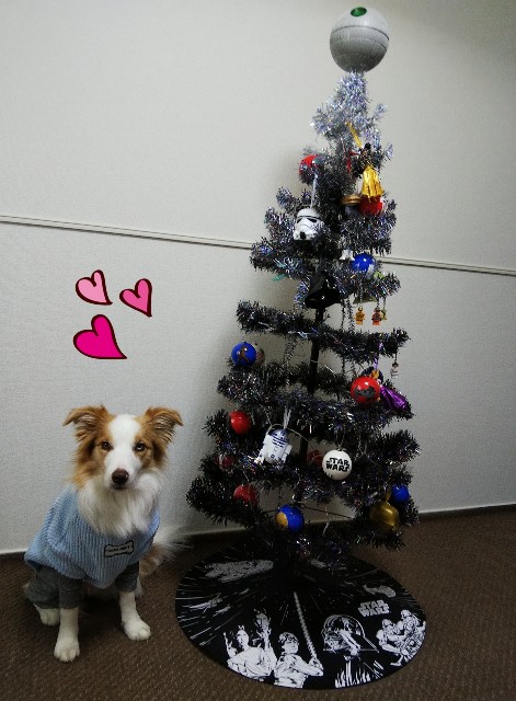 f:id:gussan-belle:20191201151631j:image