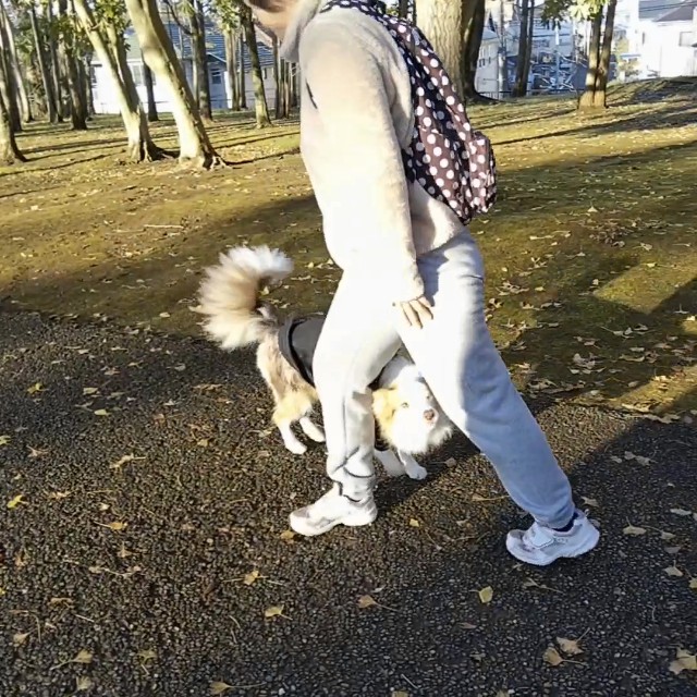f:id:gussan-belle:20191208113423j:image