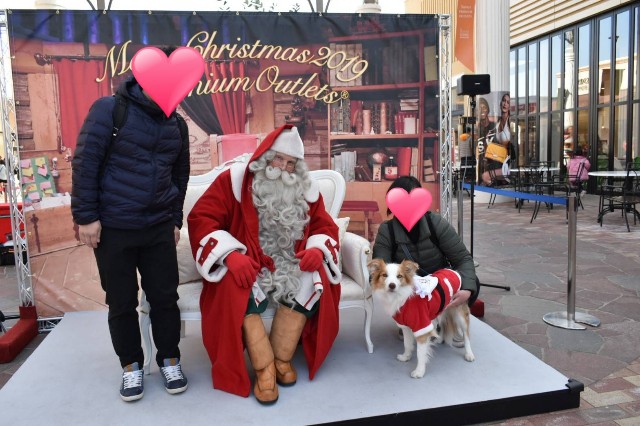 f:id:gussan-belle:20191214220102j:image