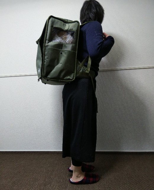 f:id:gussan-belle:20191229190912j:image f:id:gussan-belle:20191229190912j:image