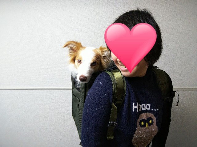 f:id:gussan-belle:20191229190943j:image f:id:gussan-belle:20191229190943j:image
