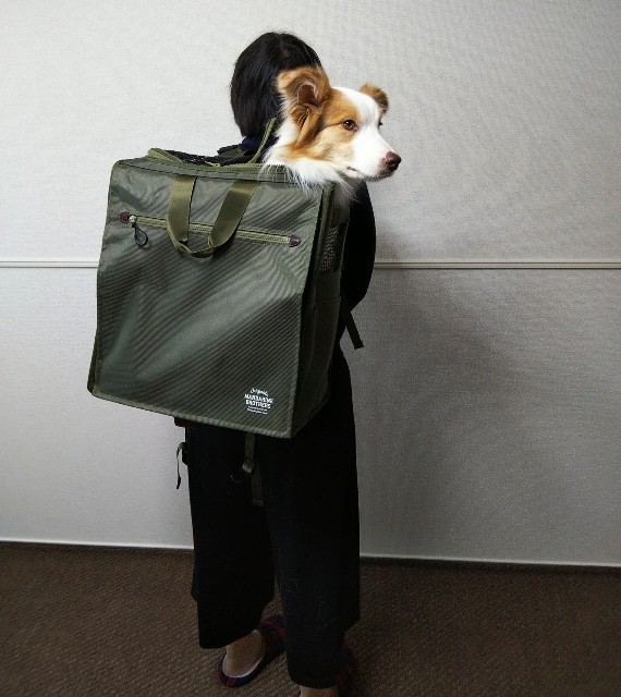 f:id:gussan-belle:20191229191341j:image f:id:gussan-belle:20191229191341j:image