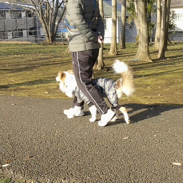 f:id:gussan-belle:20191230092630j:image f:id:gussan-belle:20191230092630j:image