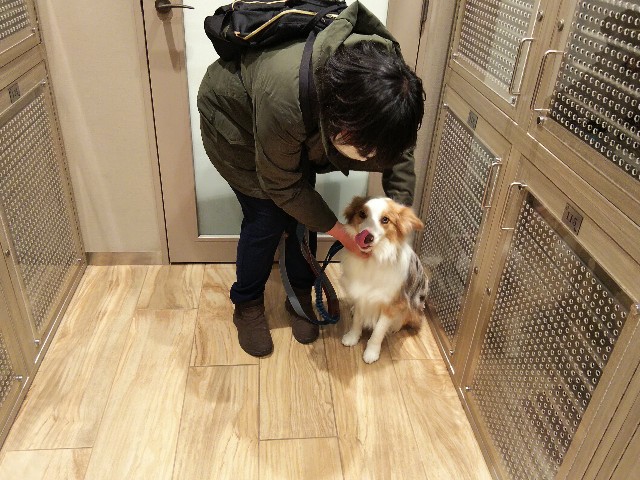 f:id:gussan-belle:20200103165545j:image