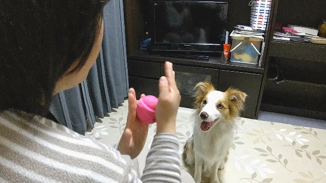 f:id:gussan-belle:20200119142418j:image f:id:gussan-belle:20200119142418j:image