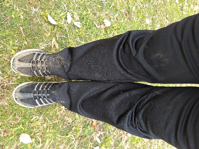 f:id:gussan-belle:20200204074010j:image