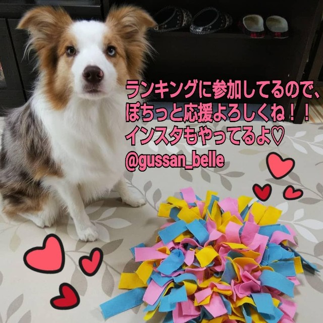 f:id:gussan-belle:20200205080406j:image f:id:gussan-belle:20200205080406j:image