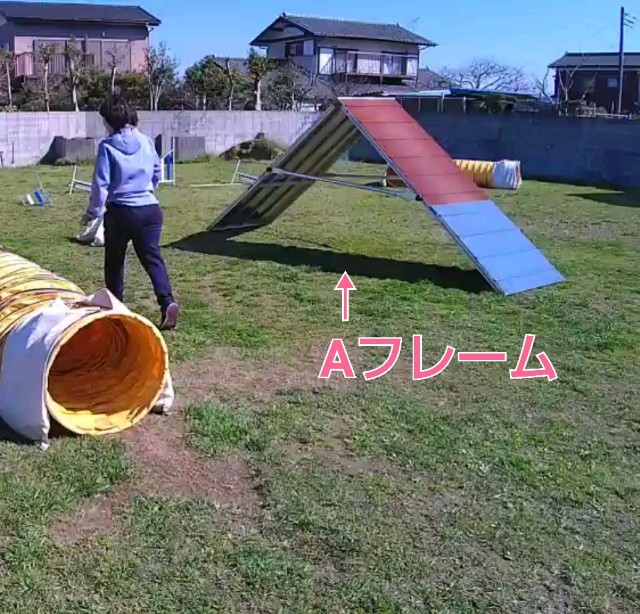 f:id:gussan-belle:20200321083252j:image