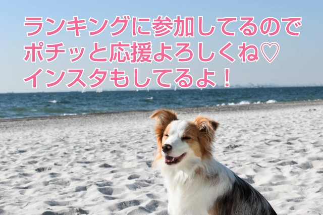 f:id:gussan-belle:20200327071644j:image f:id:gussan-belle:20200327071644j:image