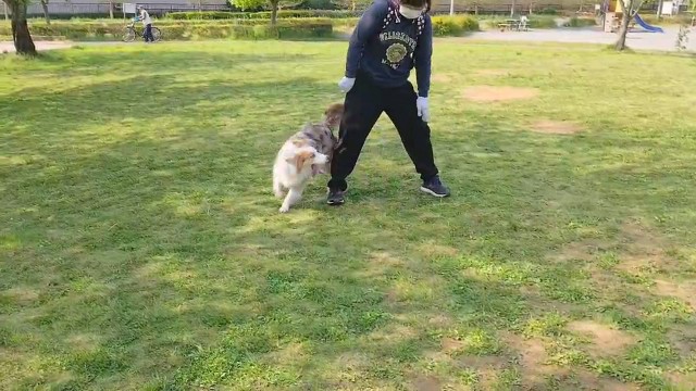 f:id:gussan-belle:20200501105655j:image f:id:gussan-belle:20200501105655j:image