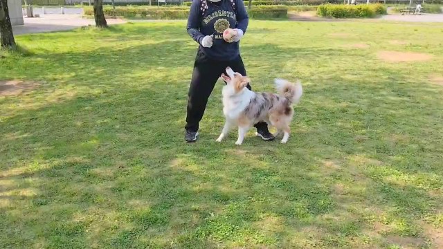 f:id:gussan-belle:20200501105912j:image f:id:gussan-belle:20200501105912j:image