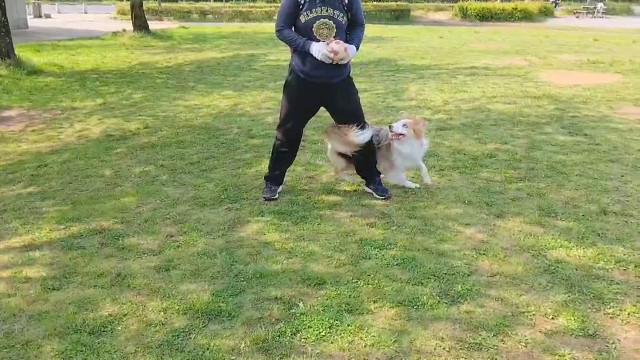 f:id:gussan-belle:20200501105946j:image f:id:gussan-belle:20200501105946j:image