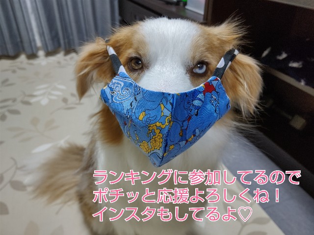 f:id:gussan-belle:20200511110700j:image f:id:gussan-belle:20200511110700j:image