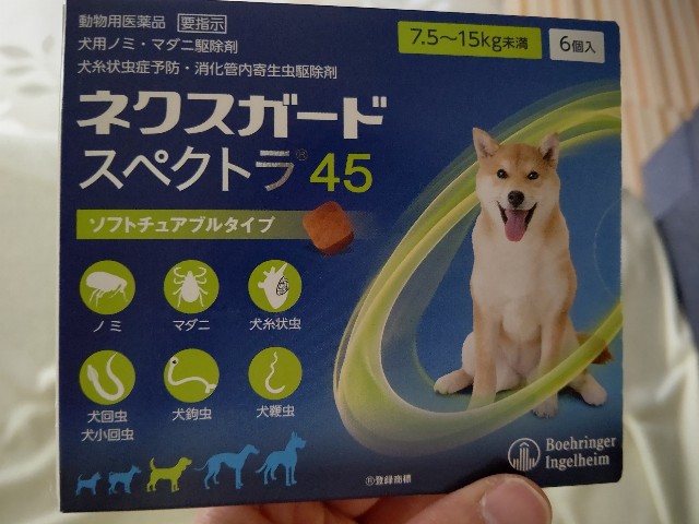 f:id:gussan-belle:20200512074017j:image f:id:gussan-belle:20200512074017j:image