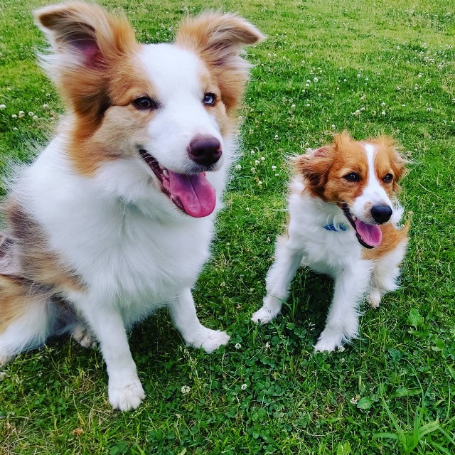 f:id:gussan-belle:20200612162753j:image f:id:gussan-belle:20200612162753j:image