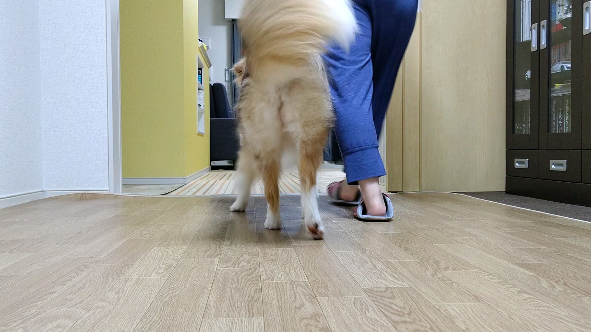 f:id:gussan-belle:20200628120710j:image