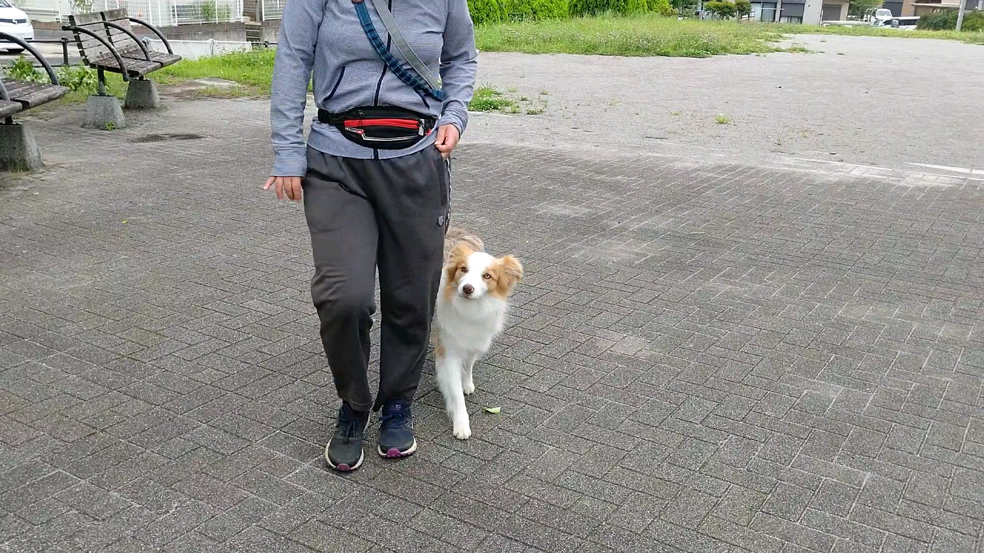 f:id:gussan-belle:20200628120747j:image