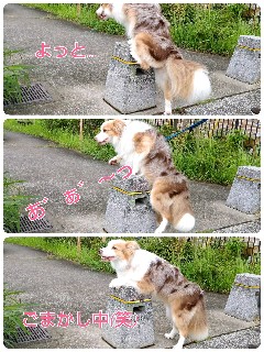 f:id:gussan-belle:20200712090143j:image