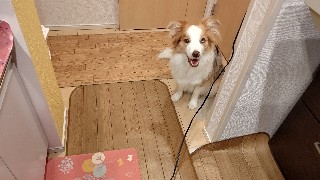 f:id:gussan-belle:20200819075551j:image f:id:gussan-belle:20200819075551j:image