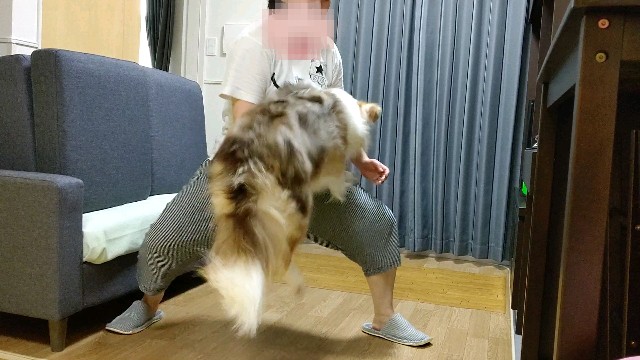 f:id:gussan-belle:20200907103949j:image f:id:gussan-belle:20200907103949j:image
