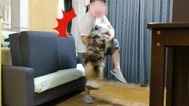 f:id:gussan-belle:20200907104222j:image f:id:gussan-belle:20200907104222j:image