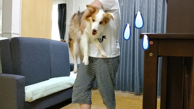 f:id:gussan-belle:20200907104233j:image f:id:gussan-belle:20200907104233j:image