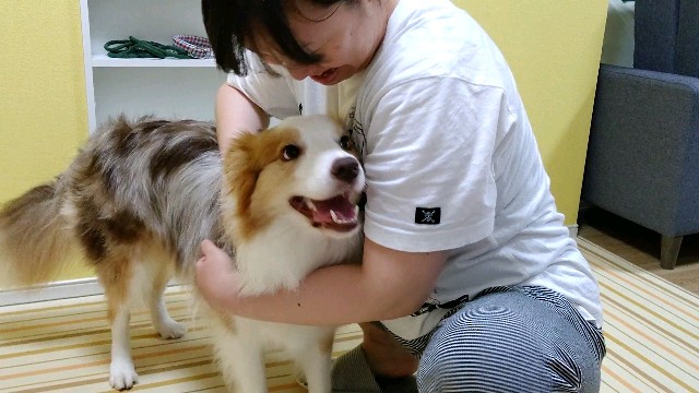 f:id:gussan-belle:20200907104335j:image f:id:gussan-belle:20200907104335j:image