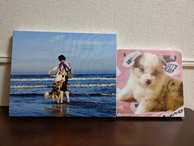 f:id:gussan-belle:20201210080634j:image