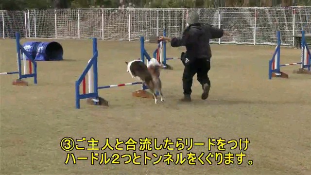 f:id:gussan-belle:20201215083635j:image
