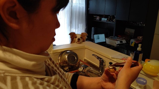 f:id:gussan-belle:20201224125400j:image