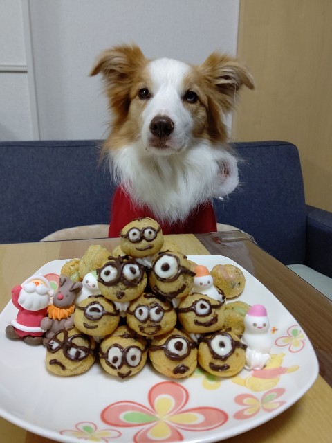 f:id:gussan-belle:20201224125506j:image