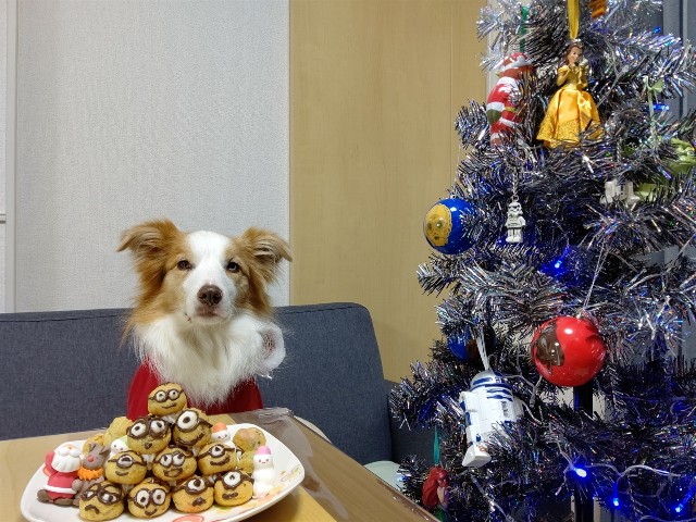 f:id:gussan-belle:20201224125526j:image