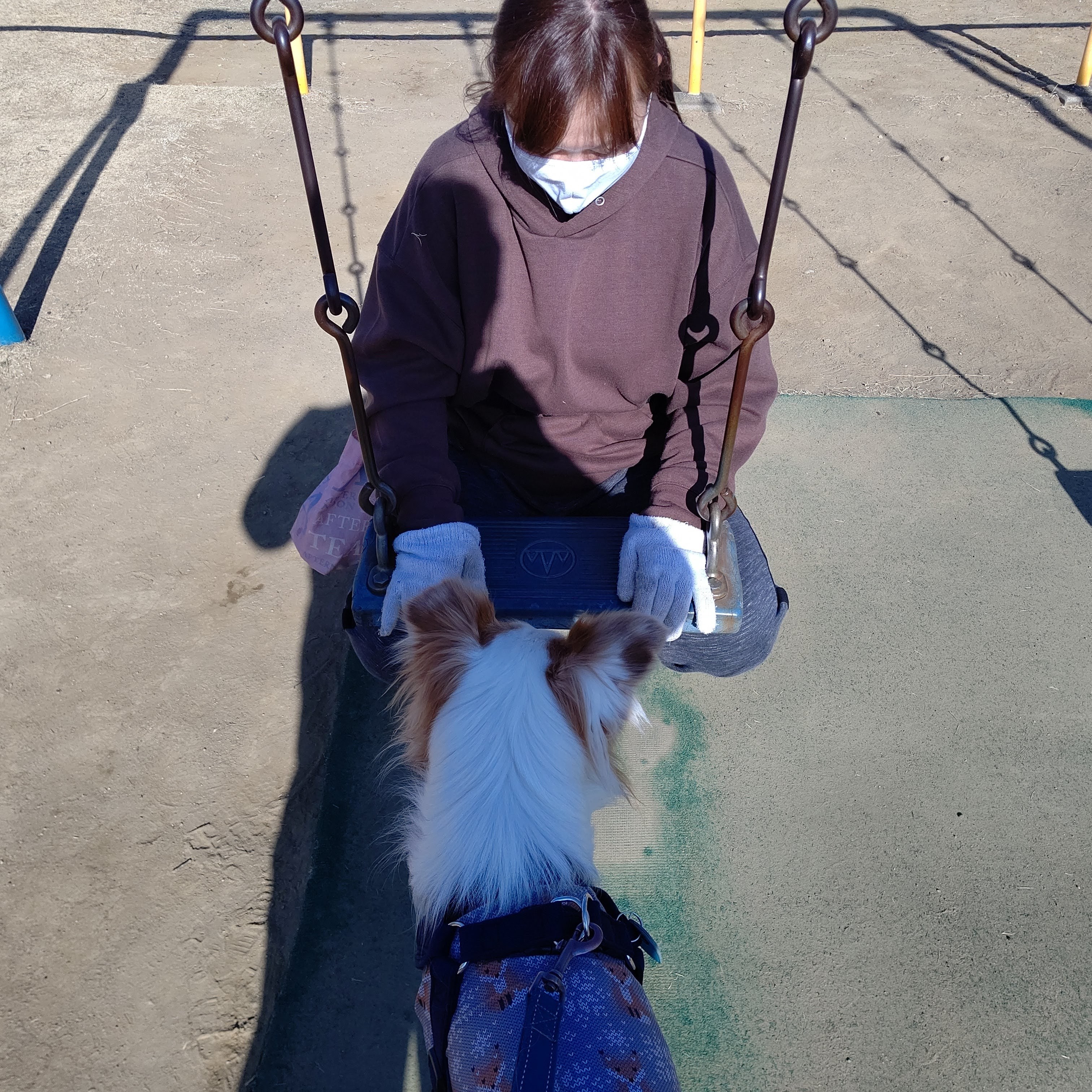 f:id:gussan-belle:20210309081614j:image f:id:gussan-belle:20210309081614j:image