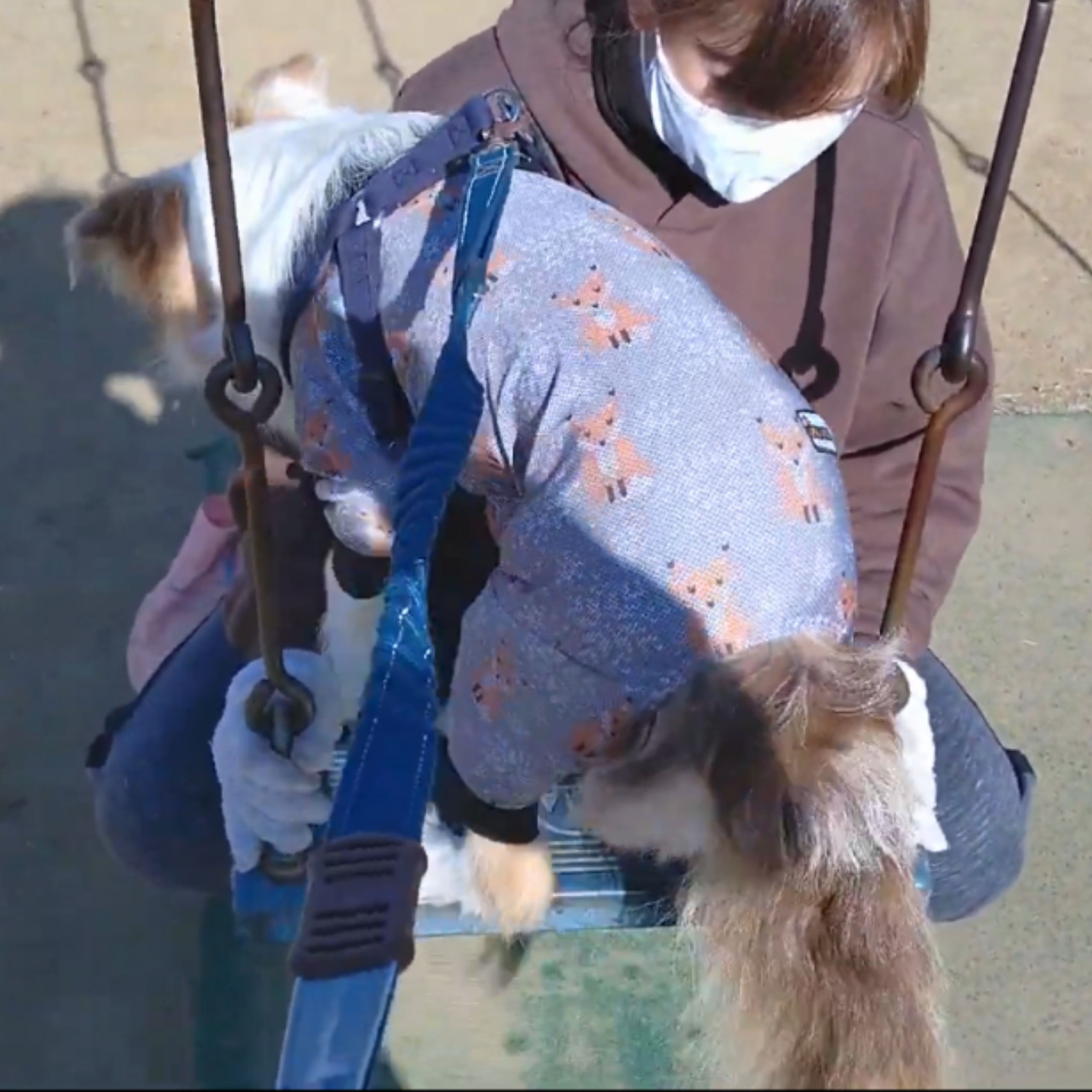 f:id:gussan-belle:20210309081629j:image f:id:gussan-belle:20210309081629j:image