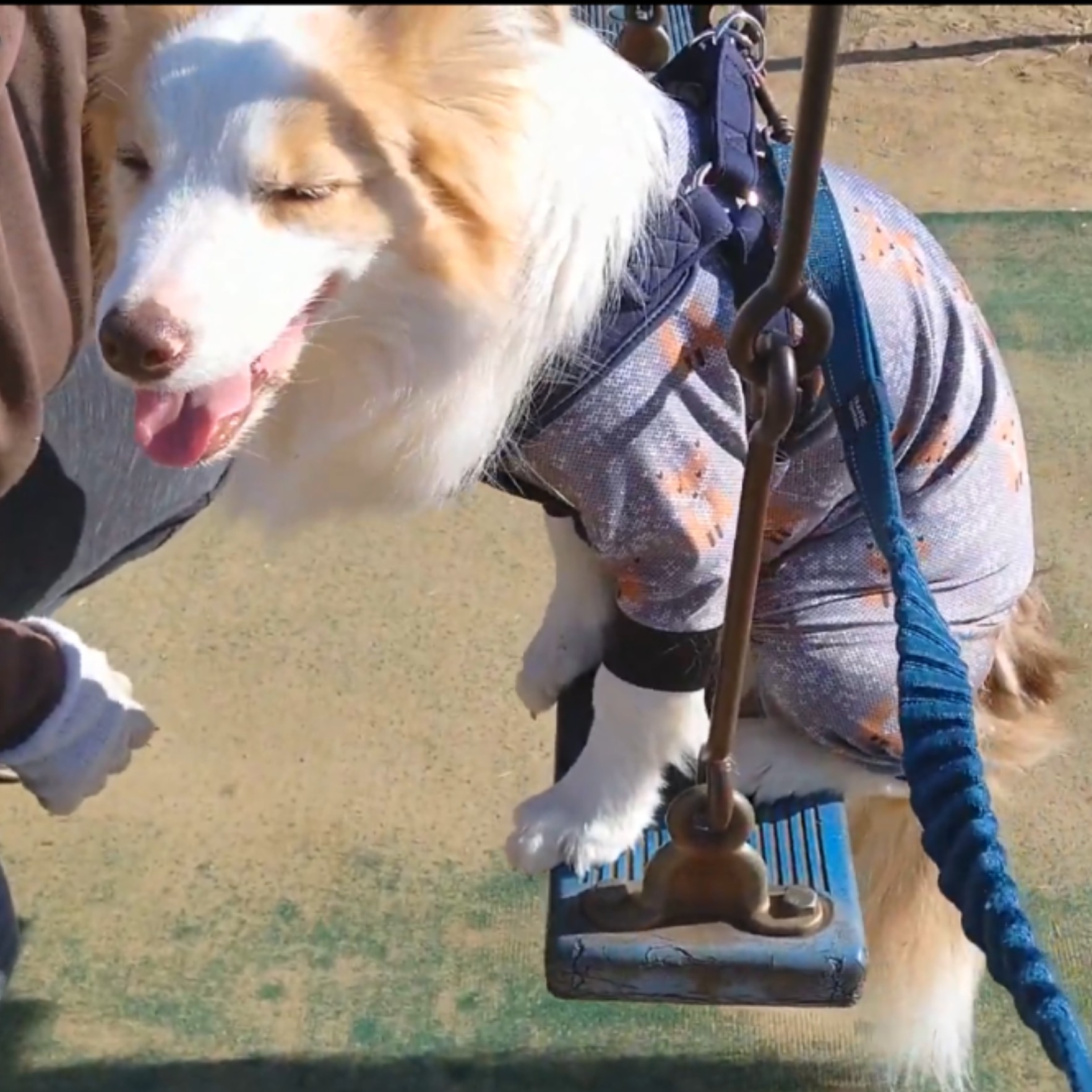 f:id:gussan-belle:20210309081701j:image f:id:gussan-belle:20210309081701j:image