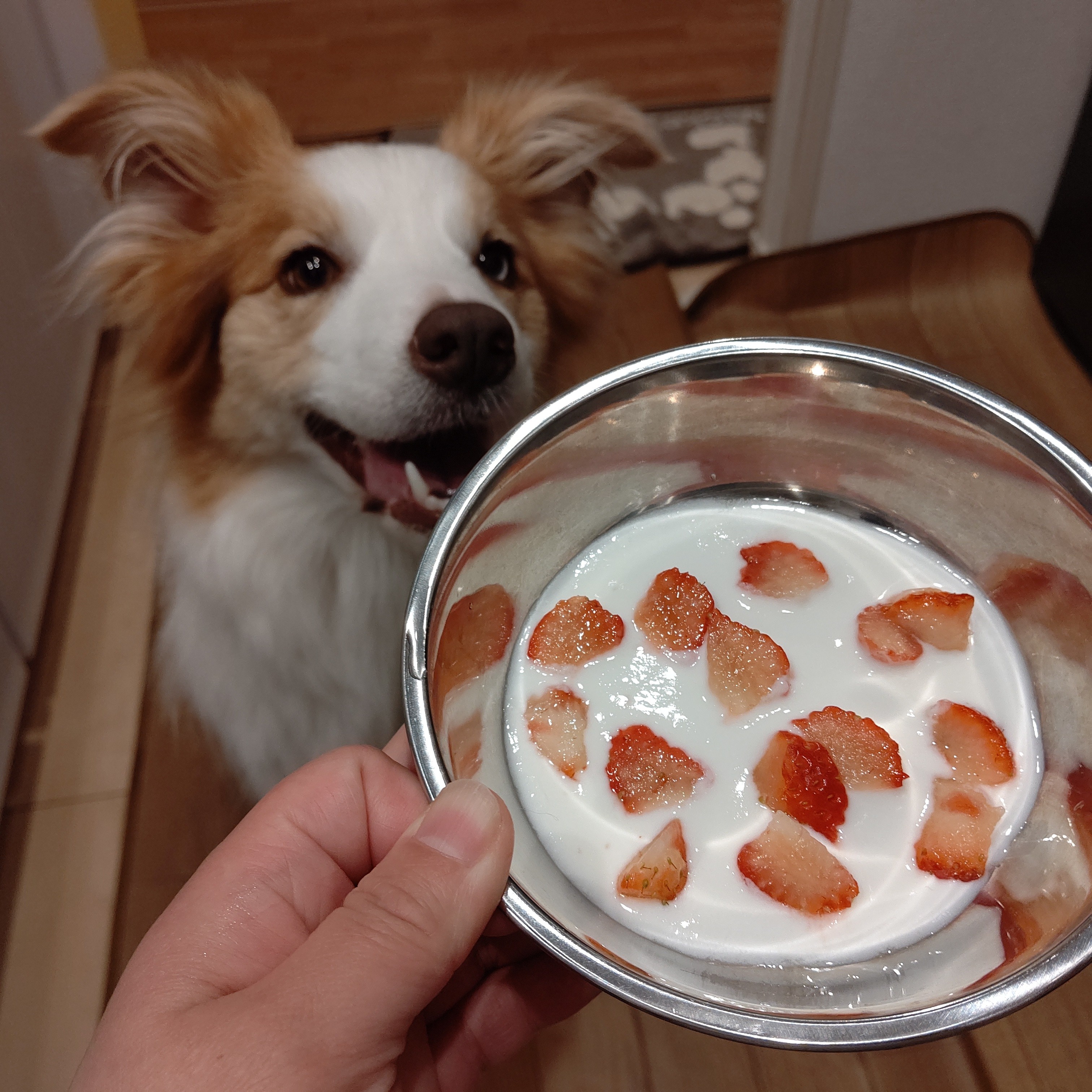 f:id:gussan-belle:20210313083917j:image