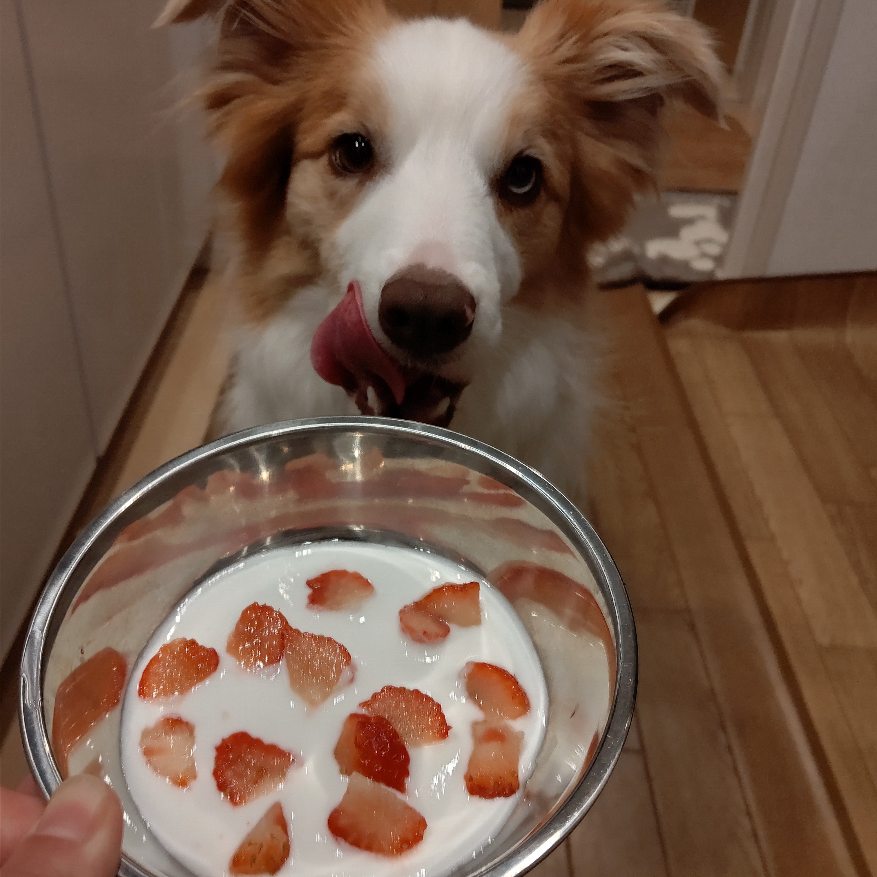 f:id:gussan-belle:20210313084205j:image