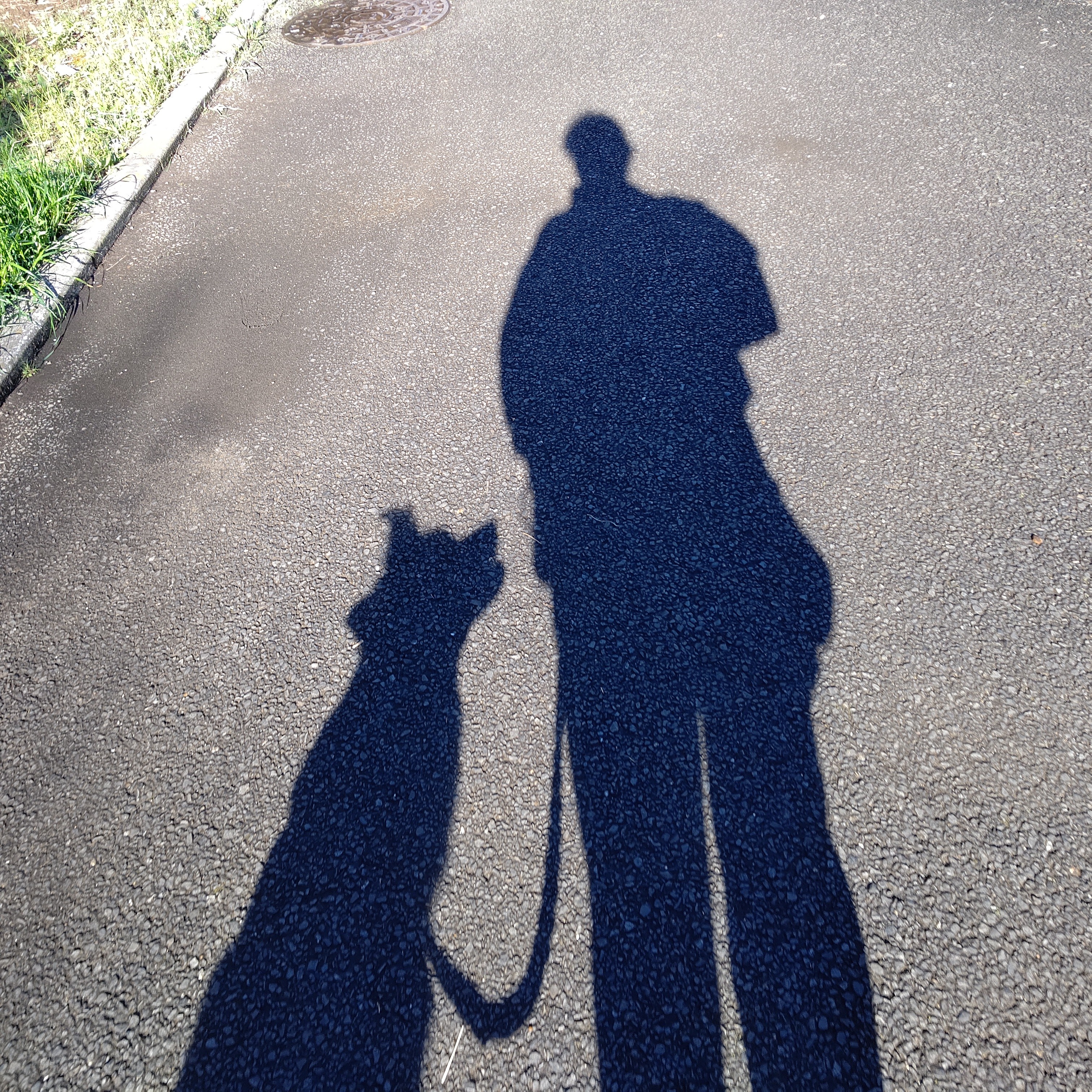 f:id:gussan-belle:20210314102850j:image