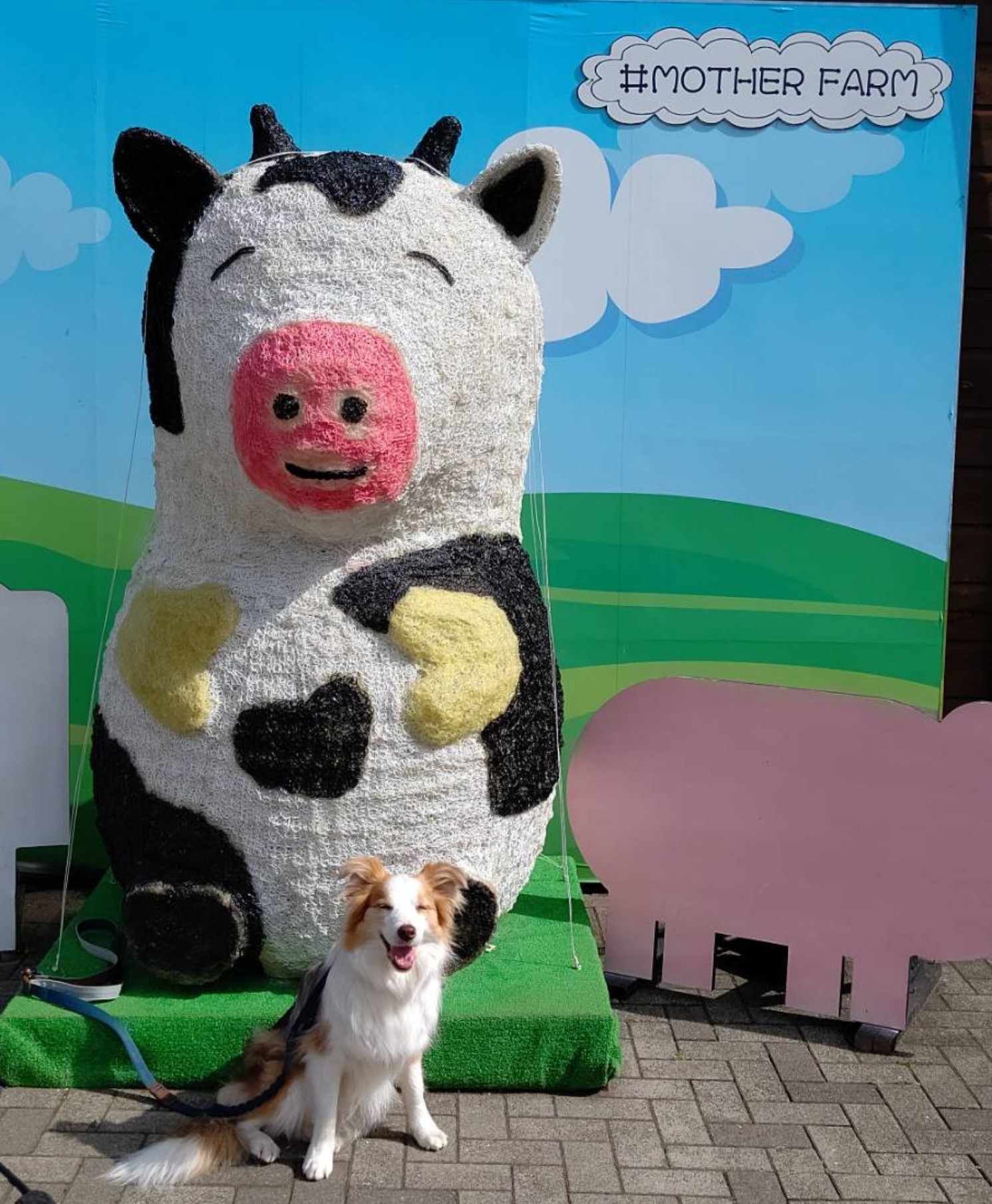 f:id:gussan-belle:20210318204846j:image f:id:gussan-belle:20210318204846j:image