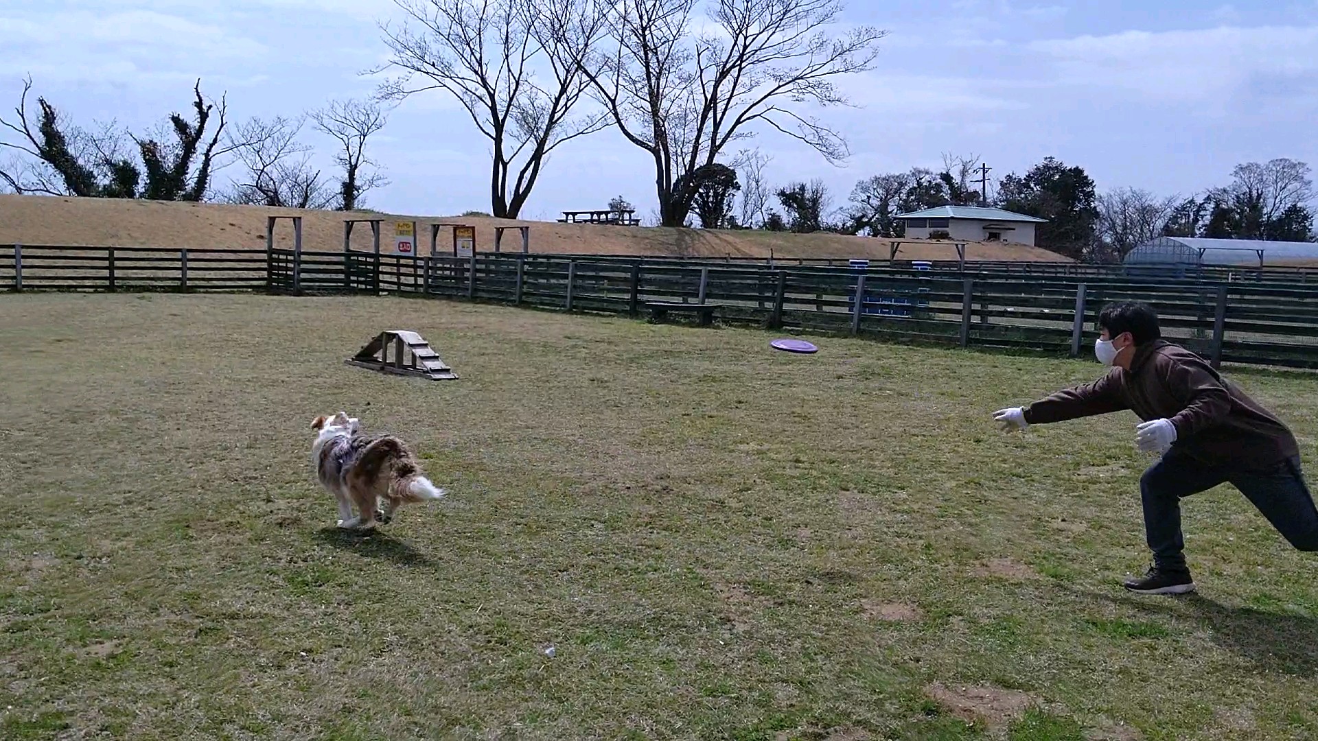 f:id:gussan-belle:20210318204926j:image f:id:gussan-belle:20210318204926j:image