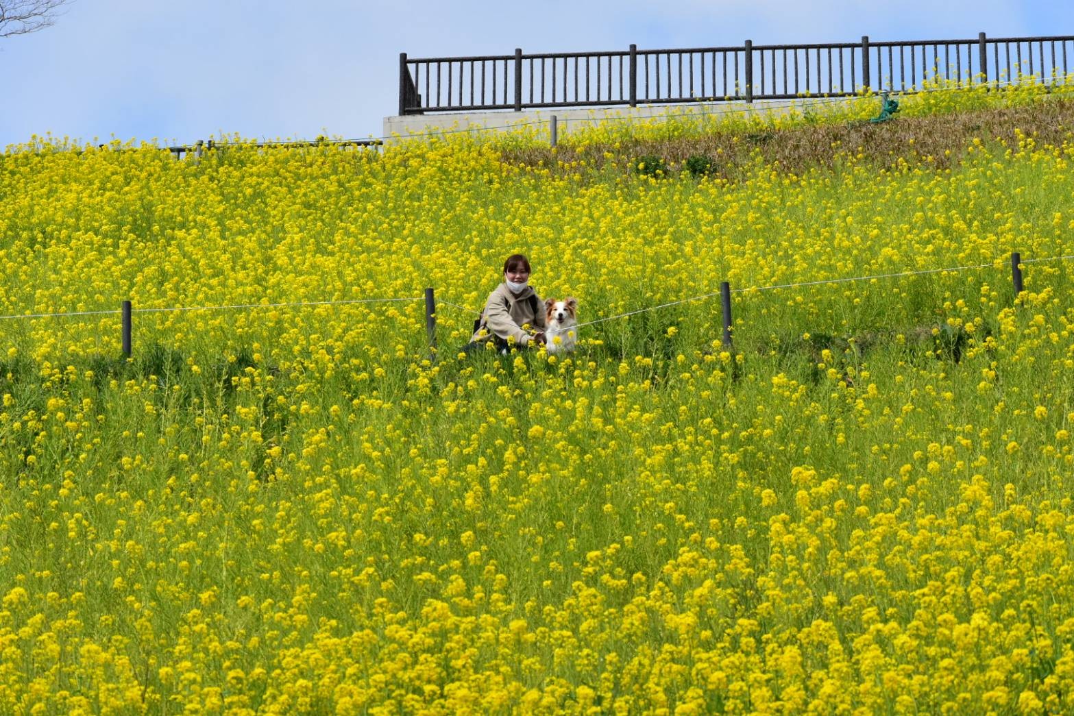 f:id:gussan-belle:20210319105946j:image