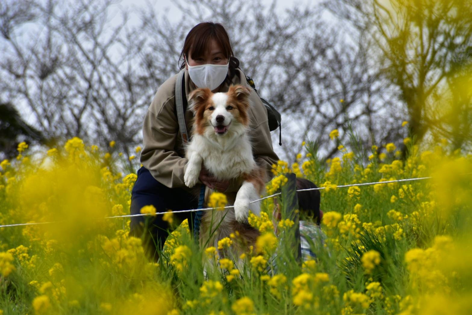 f:id:gussan-belle:20210319110013j:image