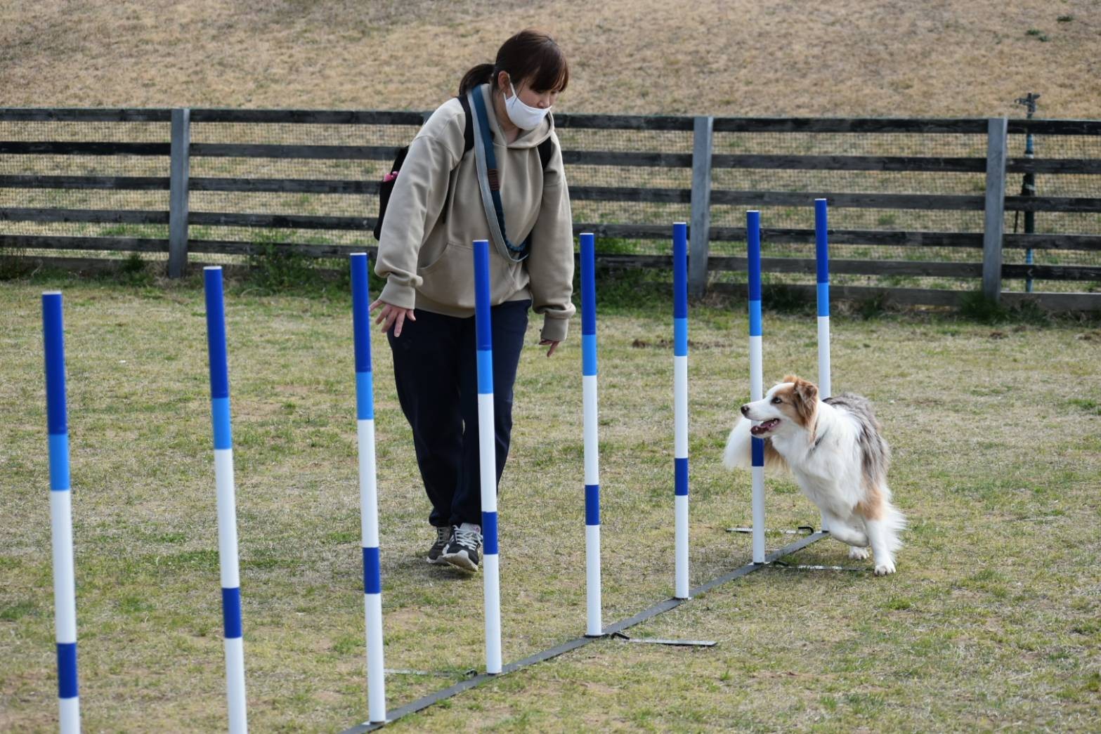 f:id:gussan-belle:20210320115919j:image f:id:gussan-belle:20210320115919j:image