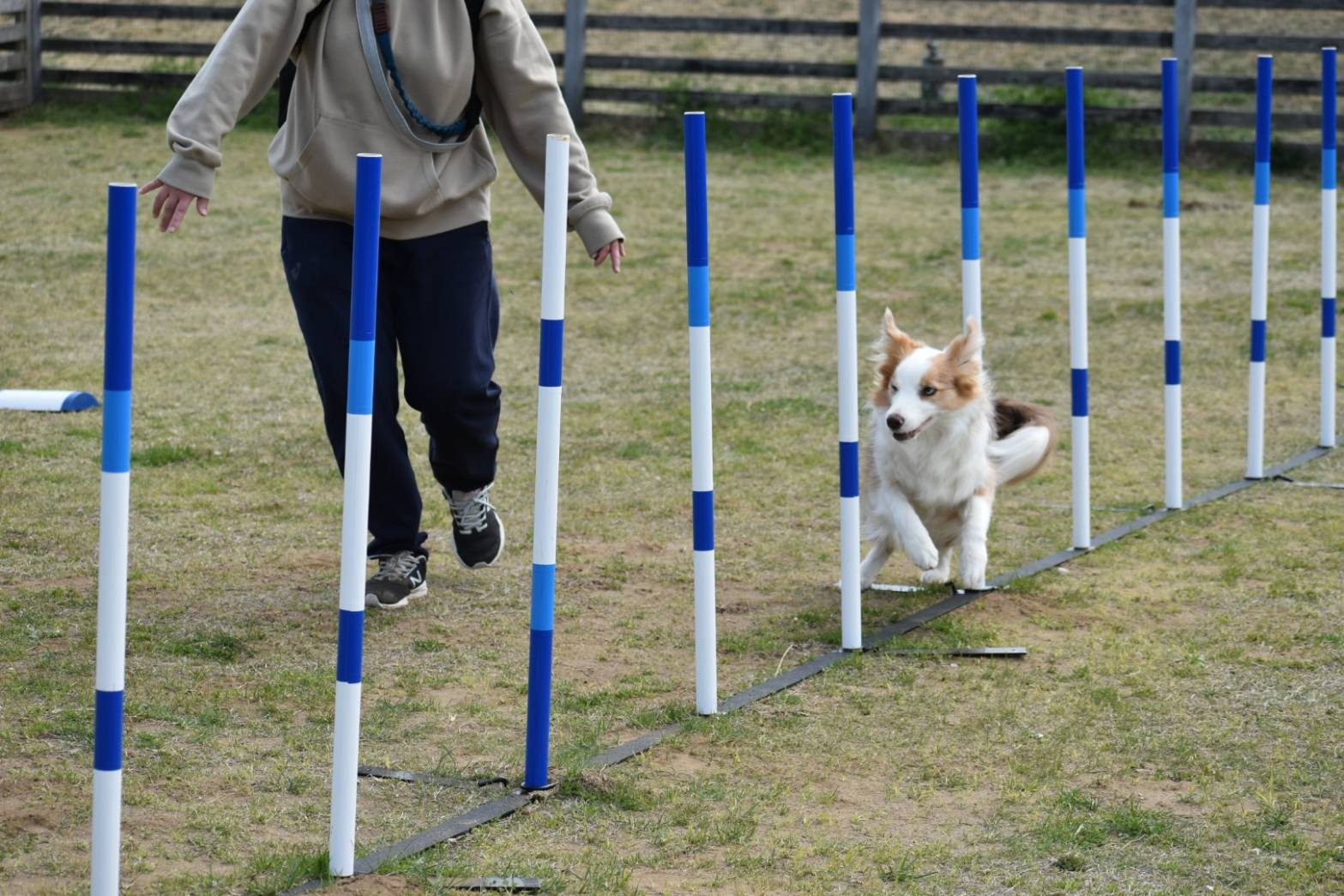 f:id:gussan-belle:20210320115952j:image f:id:gussan-belle:20210320115952j:image