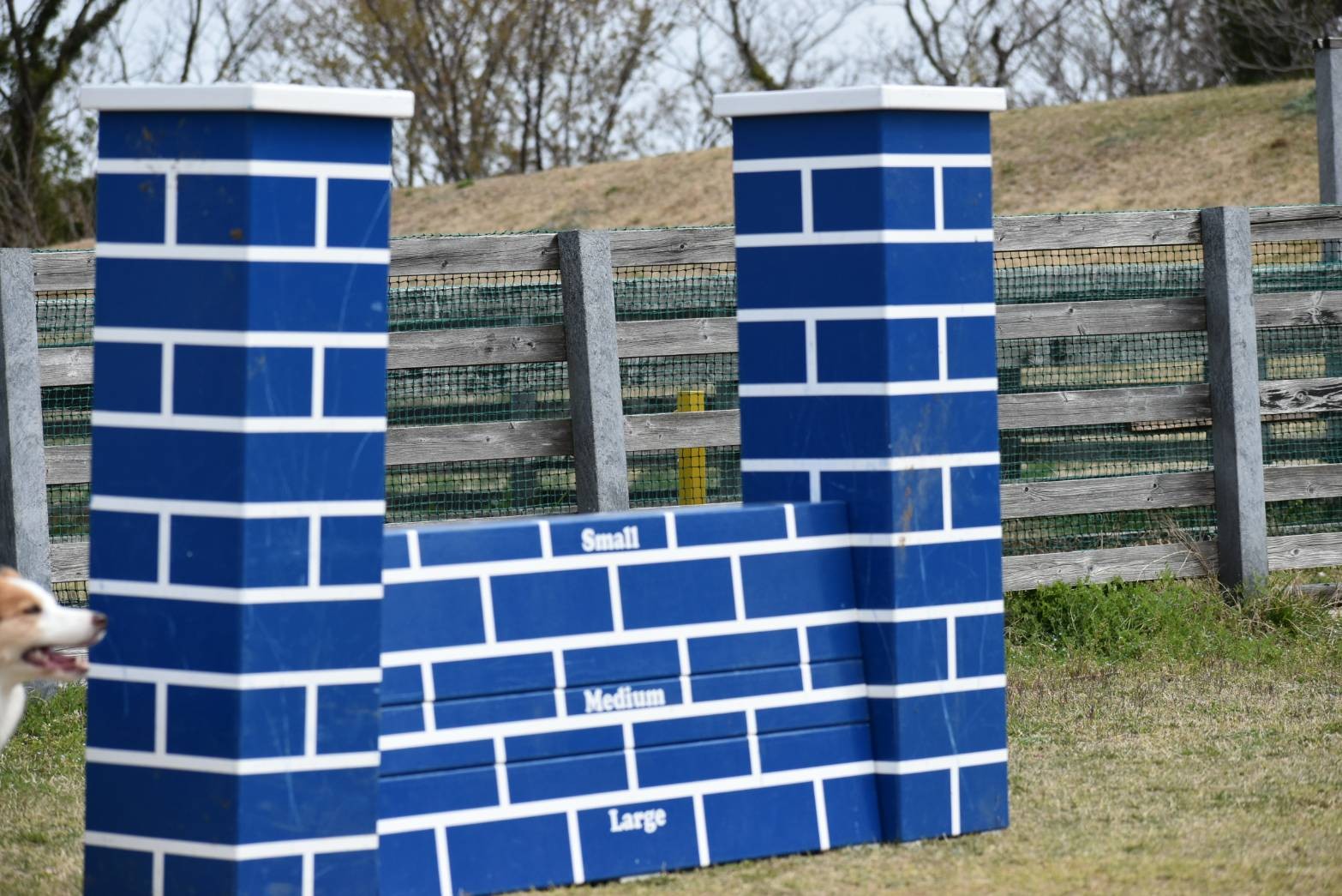 f:id:gussan-belle:20210321083435j:image